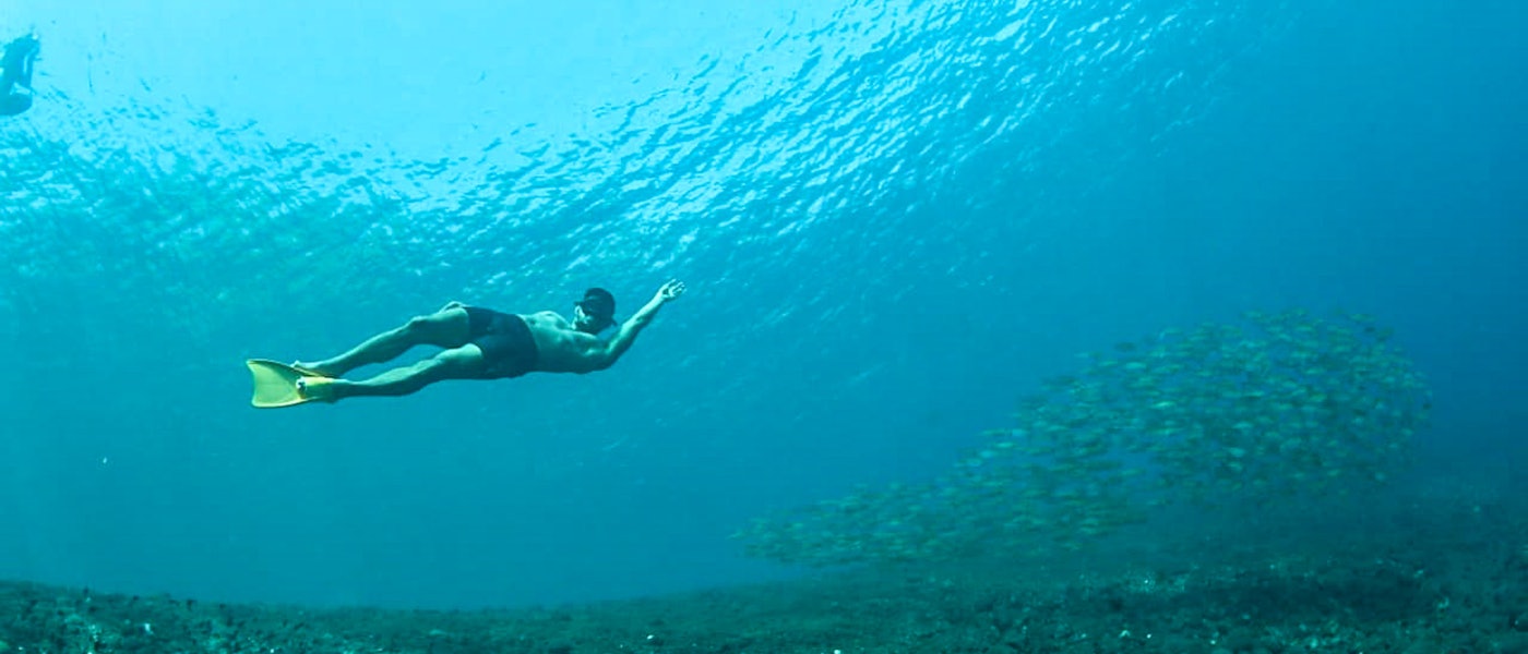 7 Rekomendasi Free Diving Essentials Bagi Pemula