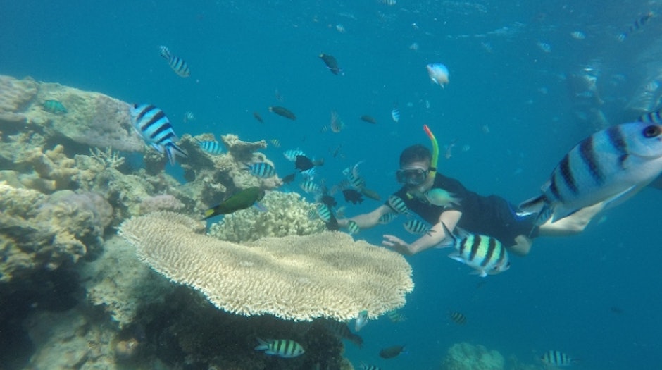 9 Rekomendasi Perlengkapan Snorkeling dan Diving 