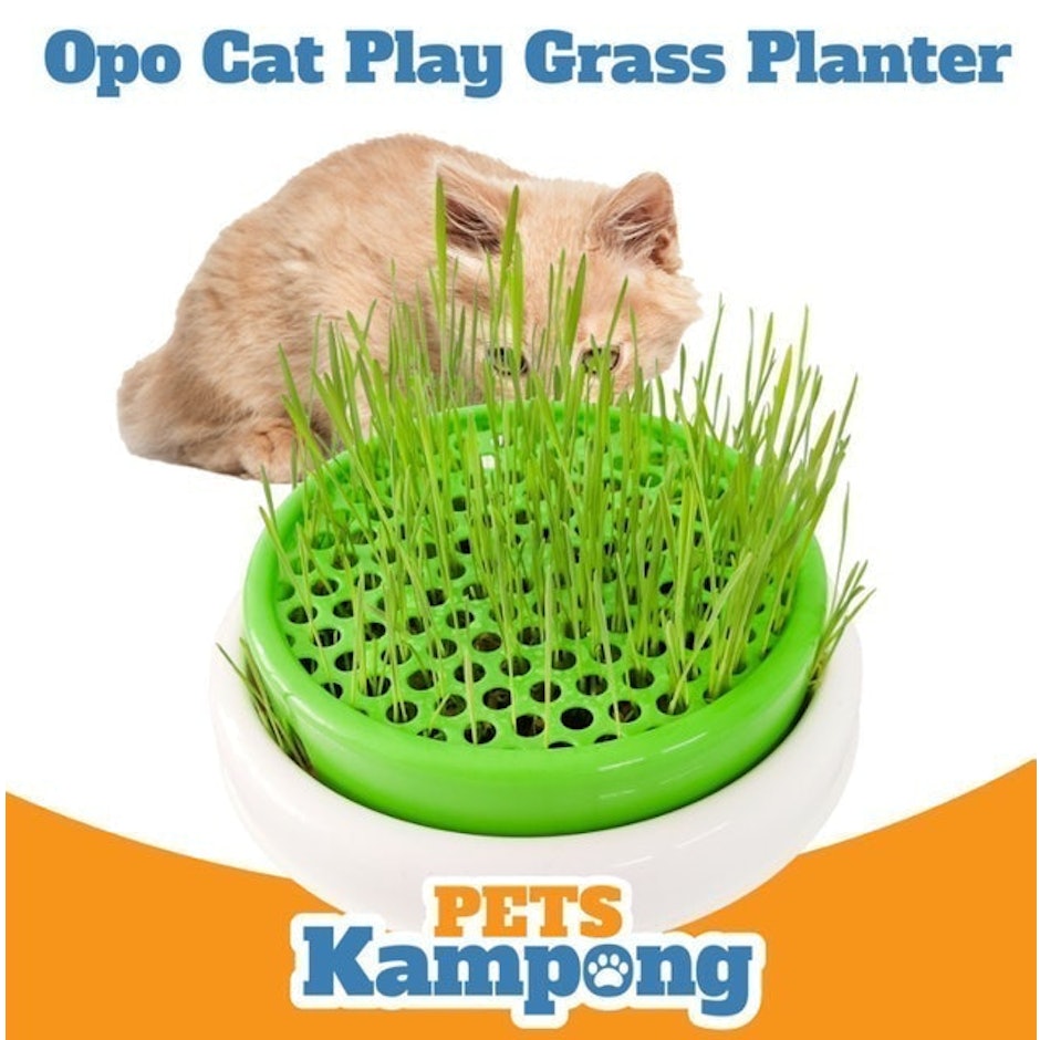 Opo CAT  Cat Grass Planter translation missing: id.activerecord.decorators.item_part_image/alt