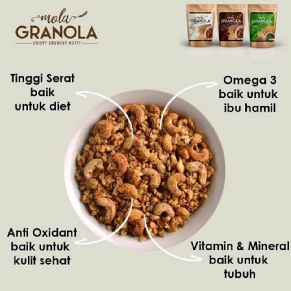 Mola Granola  Healthy Snacks  translation missing: id.activerecord.decorators.item_part_image/alt