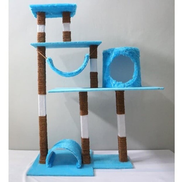 10 Rekomendasi Produk yang Harus Dimiliki untuk Memelihara 10 Rekomendasi Produk yang Harus Dimiliki untuk Memelihara