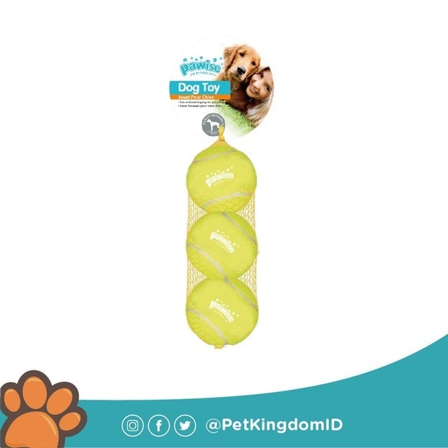 Pawise Dog Toy 1