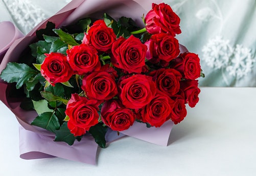 Mawar merah: Melambangkan perasaan cinta