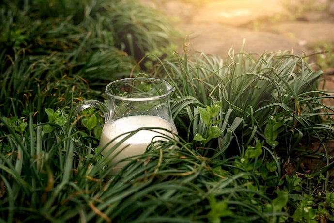 Pertimbangkan susu skim organik yang lebih kaya omega-3