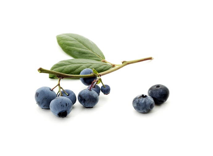 Blueberry, kekuatan antioksidan yang luar biasa