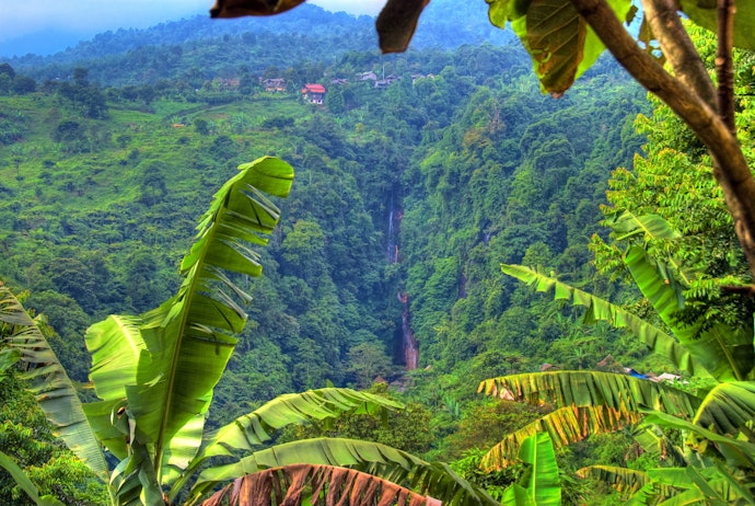 Pastikan Anda dapat menikmati pemandangan alam Bogor yang indah