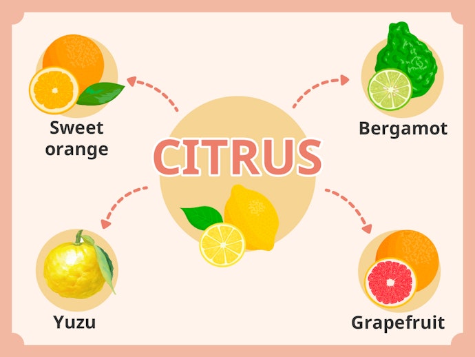 Wewangian jeruk (citrus): Wangi segar yang paling mendekati buah sumber aromanya