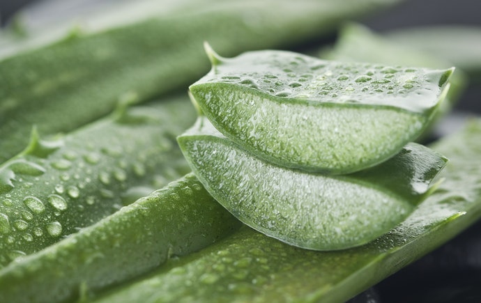 Bolehkah memakai Aloe vera gel setiap hari? 