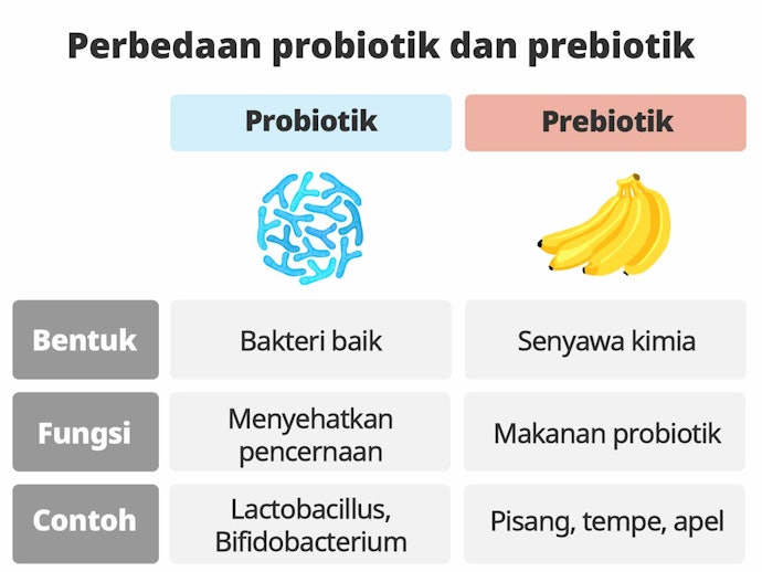 Probiotik dan bedanya dengan prebiotik