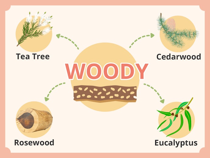 Wewangian kayu (woody): Keharuman yang menyegarkan bagai berada di tengah hutan