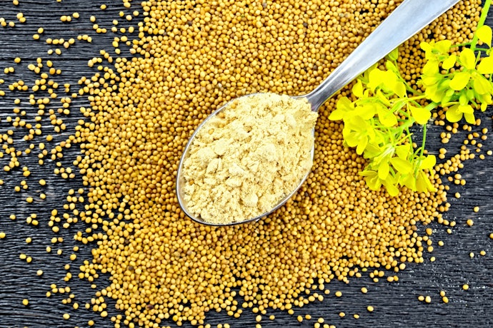 Bubuk mustard: Lebih fleksibel untuk berbagai keperluan memasak