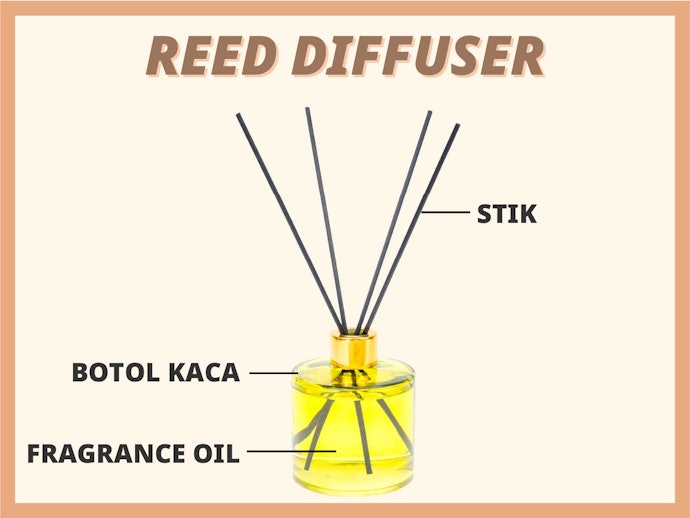 Reed diffuser, pengharum ruangan yang aromatik dan praktis