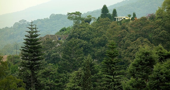 Kabupaten Cianjur, daerah Puncak bagian atas dengan pemandangan hijau nan asri