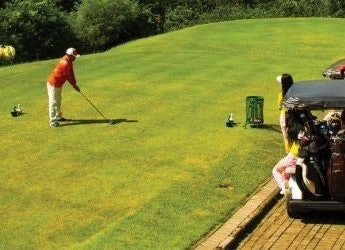 Lapangan golf: Untuk berolahraga sekaligus menjamu rekan bisnis