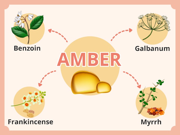 Wewangian damar (amber): Fragrance yang cenderung kuat dan manis, serta bertahan lebih lama