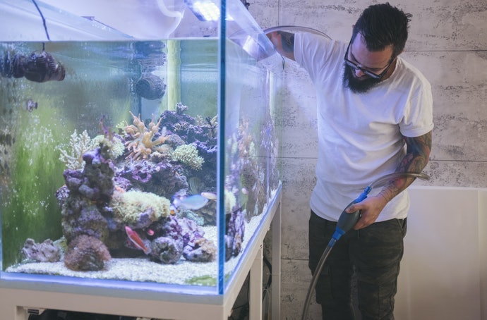 Fitur self-priming: Memudahkan pemasangan awal dan pemeliharaan aquarium