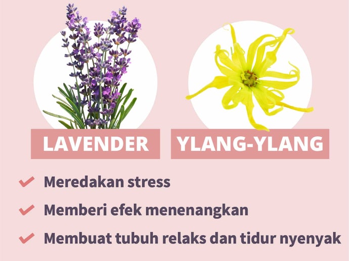 Lavender dan ylang-ylang, untuk meredakan rasa stres dan gelisah