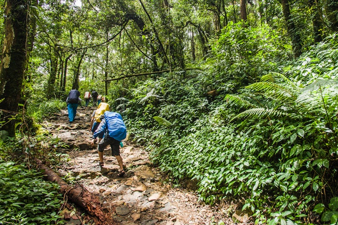 Jalur trekking: Aktivitas menjelajah alam selama berlibur
