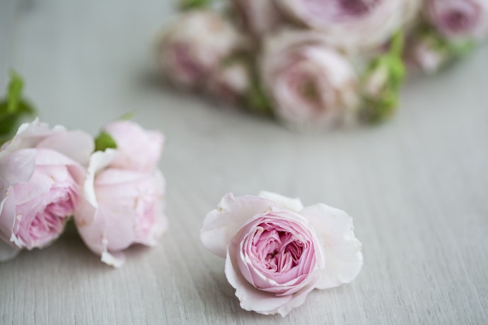 Oud dan floral, wewangian dengan kesan yang lebih feminin