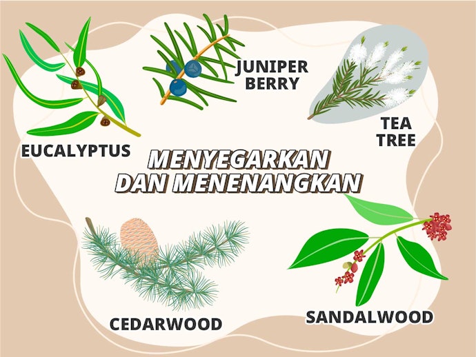 Untuk menyegarkan dan meringankan kepala, pilih aroma cedarwood, eucalyptus, juniper berry, atau tea tree