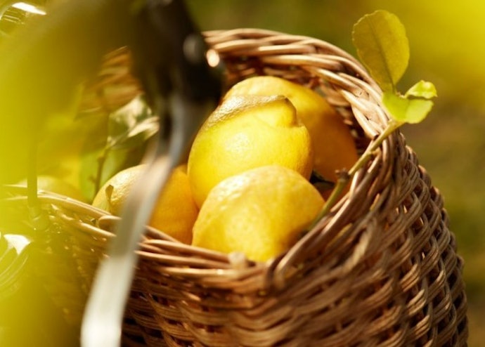 Cari tahu beragam jenis aroma citrus