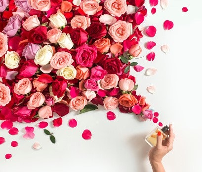 Projection, menunjukkan seberapa jauh parfum tercium