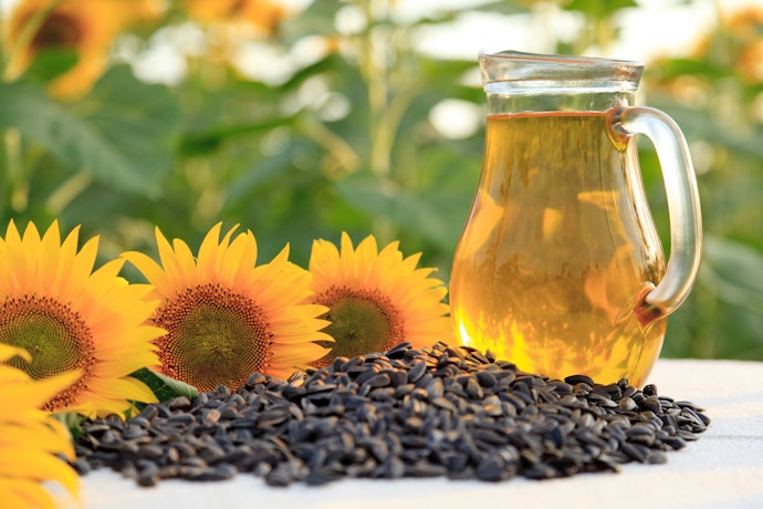 Apakah sunflower oil menyehatkan?