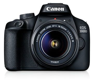 Canon: Sensor berukuran besar plus jenis kamera yang beragam