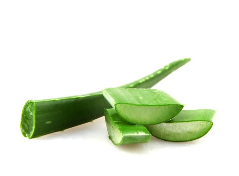 Khasiat dan manfaat lip balm Aloe vera untuk bibir