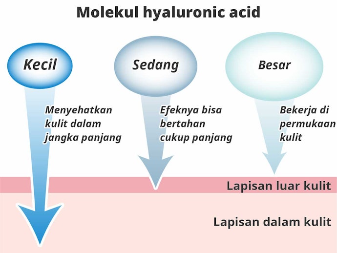 Untuk manfaat jangka panjang, perhatikan bentuk hyaluronic acid