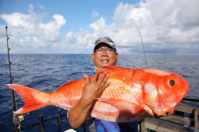 Tips untuk pemula dari pemancing profesional kami, Dudit Widodo