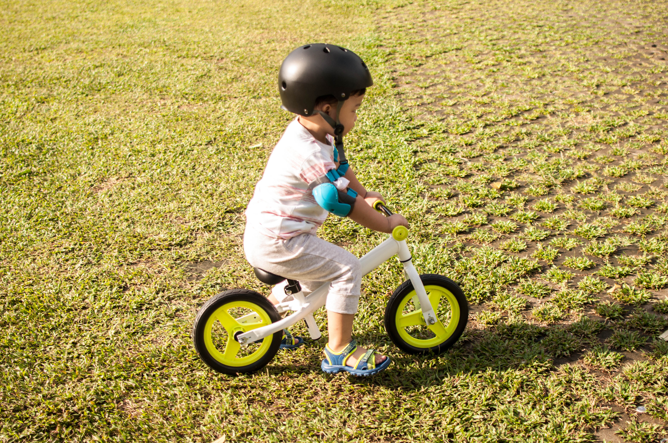 10 Rekomendasi Balance Bike Terbaik 