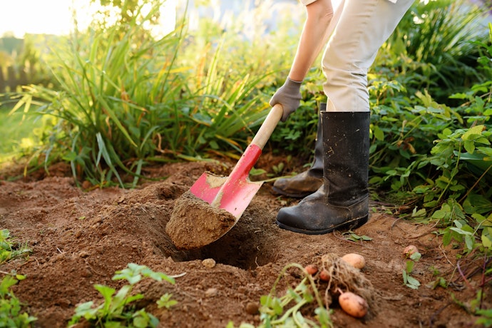 Sekop tanah, ideal untuk menggali tanah 
