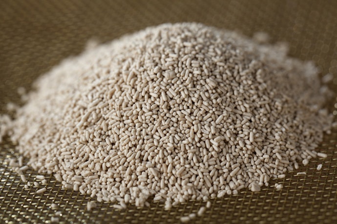 jenis ragi roti - Blake Hemmings