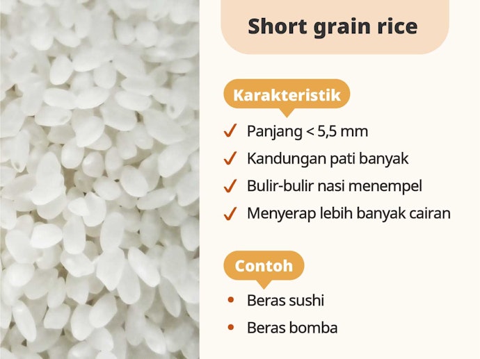 Short grain rice, bentuknya lebih pendek dan lebih pulen