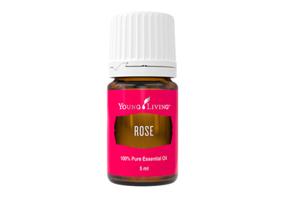 Rose: Aroma mewah dari bunga mawar