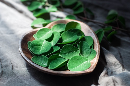Moringa: Meningkatkan produksi kolagen