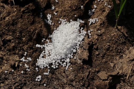 Pertanyaan umum seputar pupuk urea