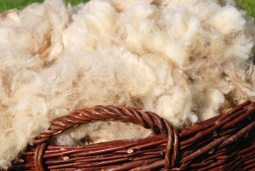 Mouton (kulit bulu domba): Lembut untuk pencucian rutin 