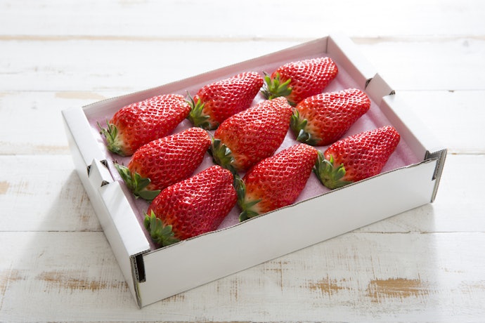 Pilih juga bibit strawberry Jepang atau Korea yang manis dan besar