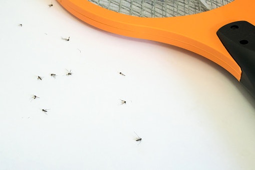Pertanyaan populer seputar raket nyamuk