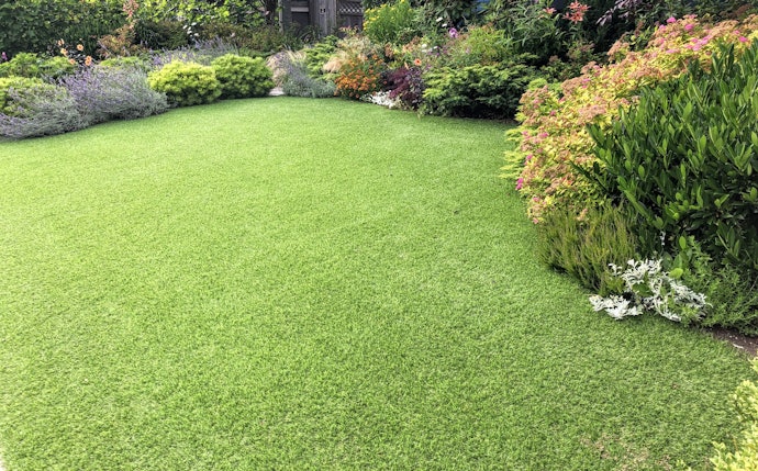 30–40 mm, cocok untuk memperindah taman dan halaman rumah