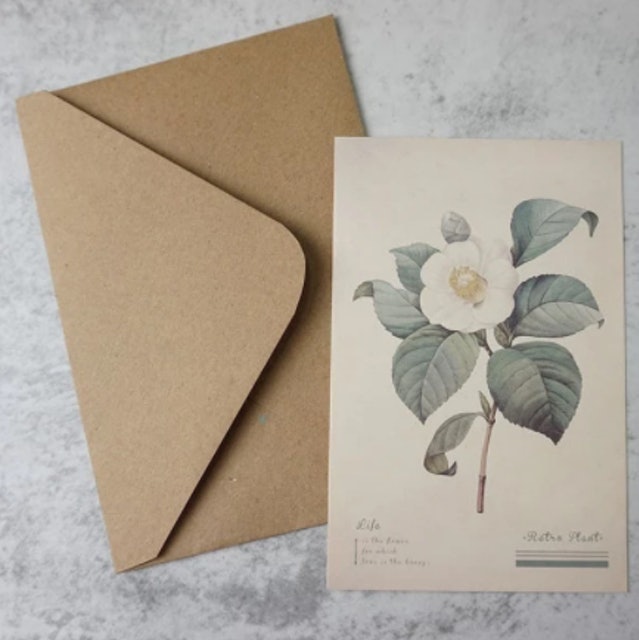 Retro Plant Flower Postcard 1