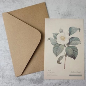 Retro Plant Flower Postcard 1