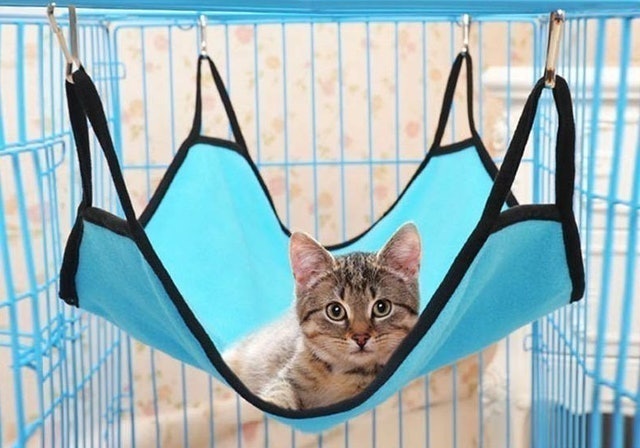 Pet Hanger + 4 Hanger 1