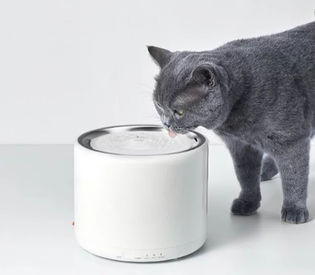 Petkit Eversweet 3 1