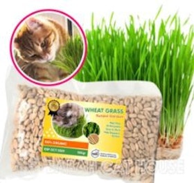 Babah Cathouse Biji Rumput Kucing Organik 1