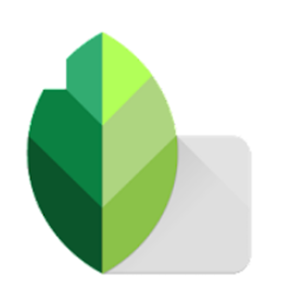 Google LLC Snapseed 1