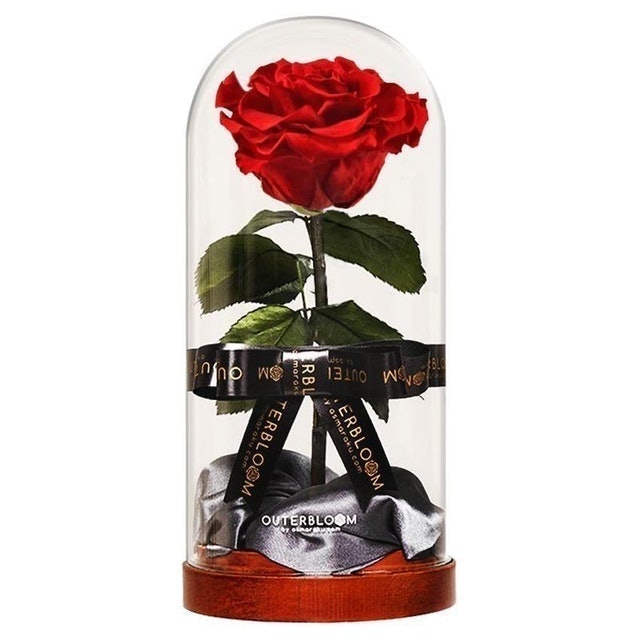 Outerbloom Enchanted Dome 1