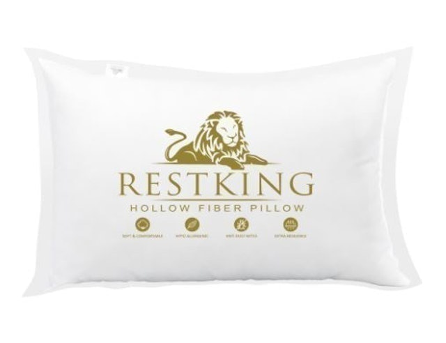 Clarissa Restking Hollow Fiber Pillow  1